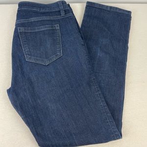 Ann Taylor Loft Modern Straight Jeans